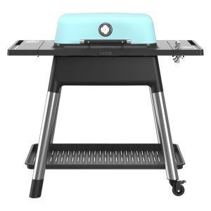 Everdure By Heston Blumenthal FORCE 48-Inch 2-Burner Propane Gas Grill With Stand - Mint
